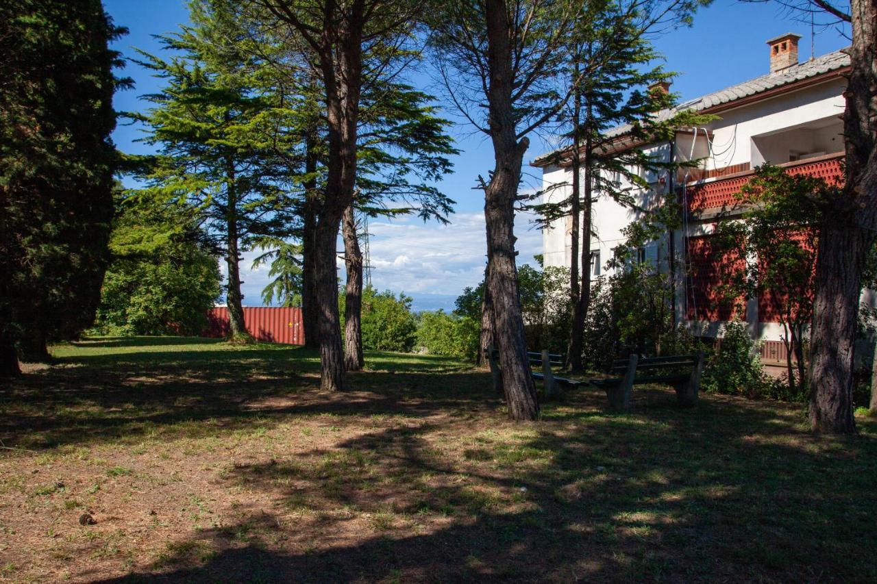 Hostel Trobenta In Oblak بورتوروز المظهر الخارجي الصورة