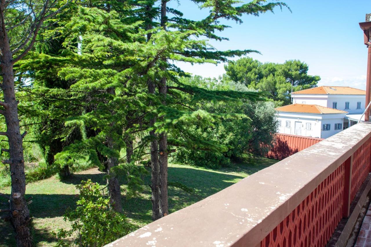 Hostel Trobenta In Oblak بورتوروز المظهر الخارجي الصورة