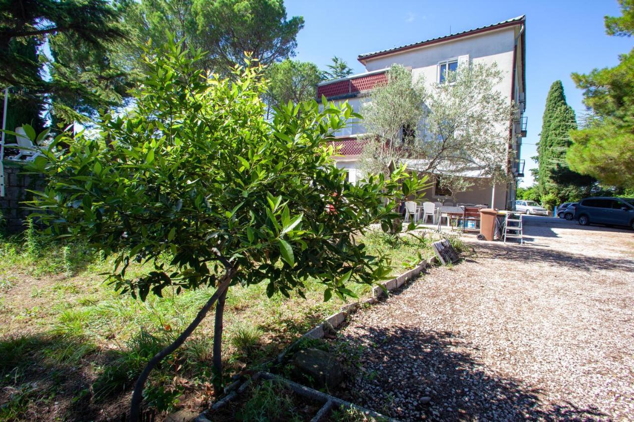 Hostel Trobenta In Oblak بورتوروز المظهر الخارجي الصورة